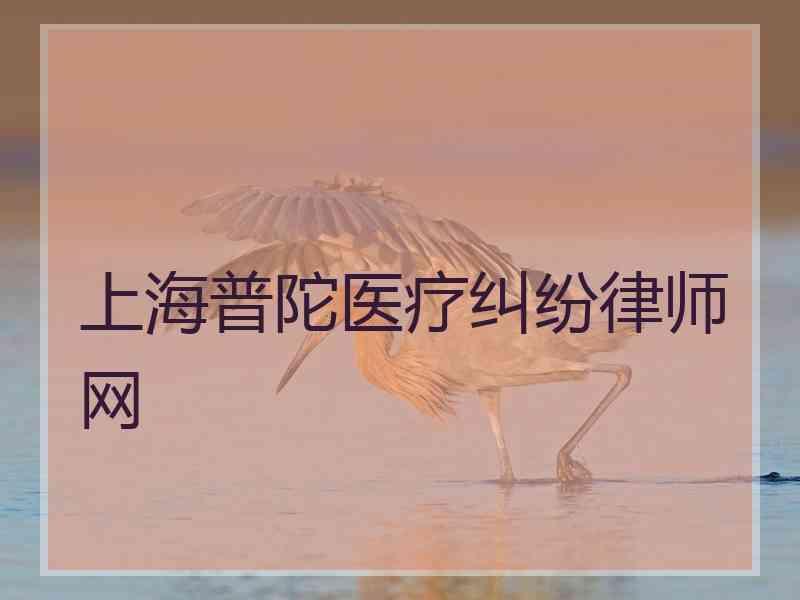 上海普陀医疗纠纷律师网