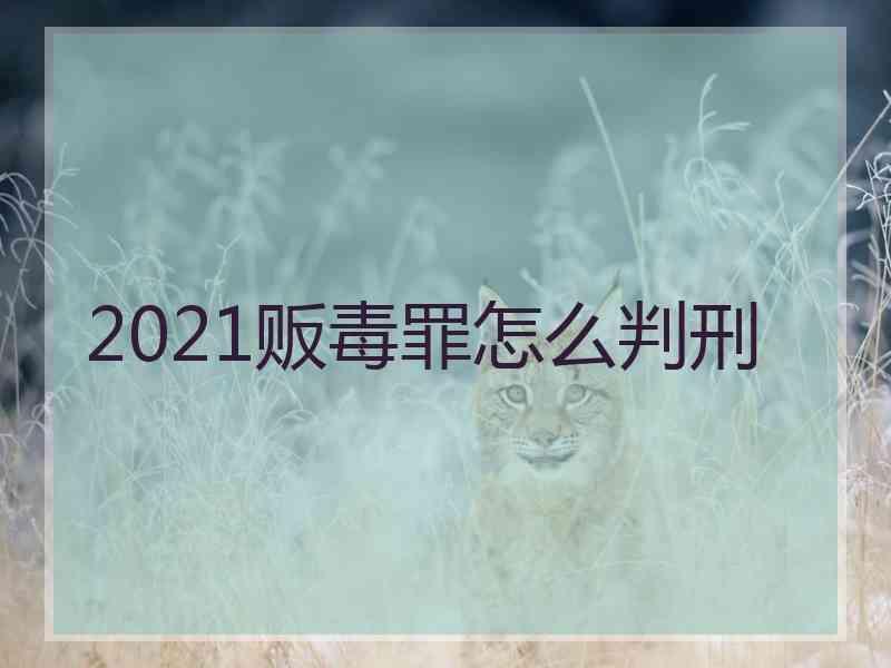 2021贩毒罪怎么判刑