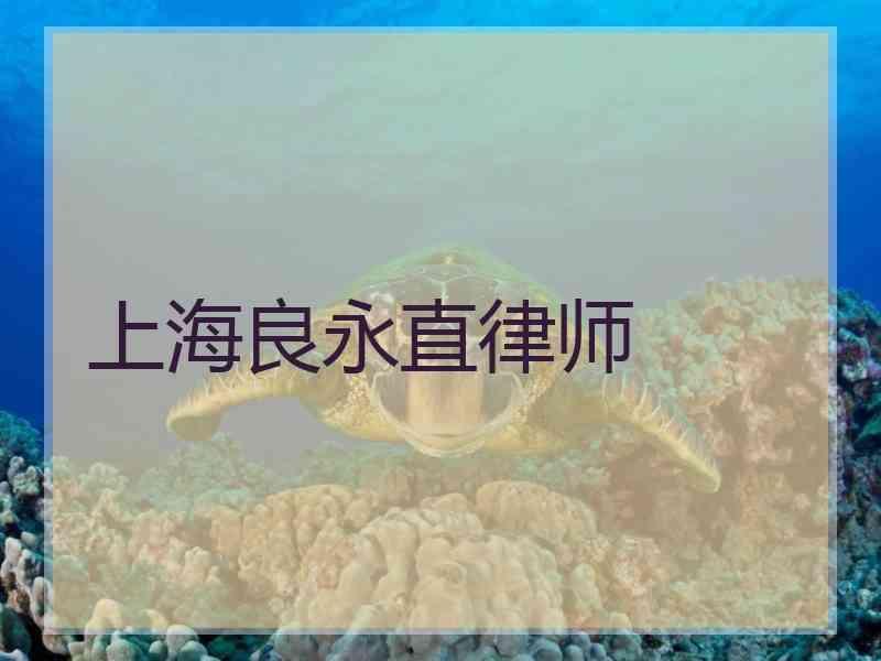 上海良永直律师