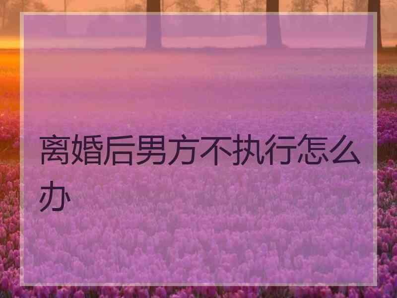 离婚后男方不执行怎么办