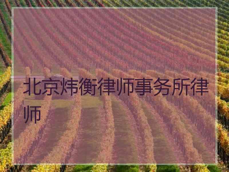 北京炜衡律师事务所律师