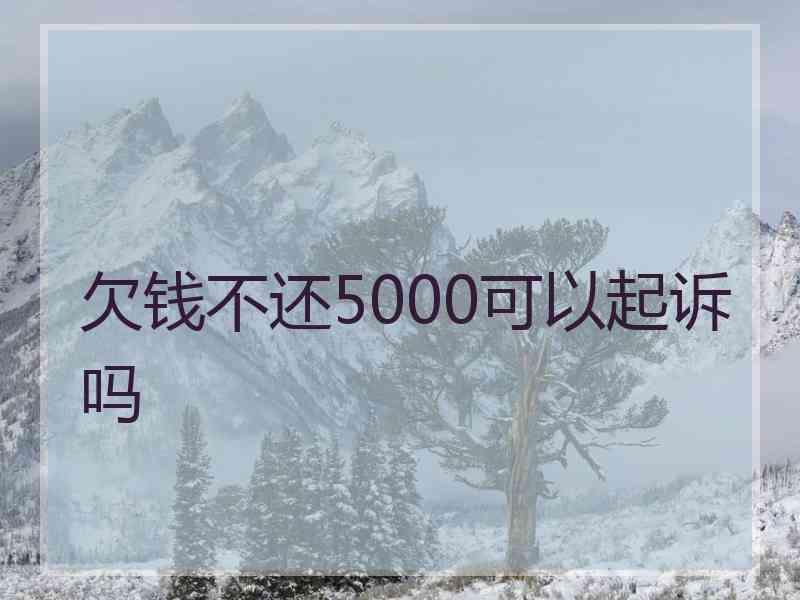 欠钱不还5000可以起诉吗