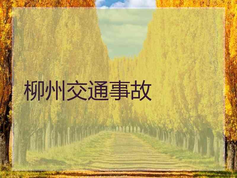 柳州交通事故