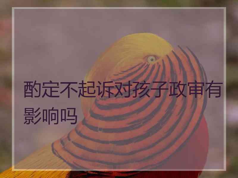 酌定不起诉对孩子政审有影响吗