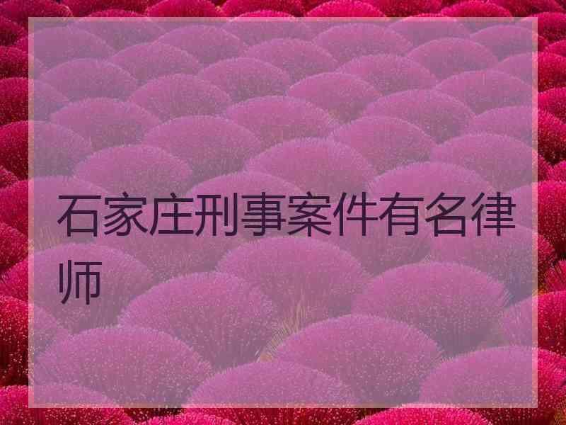 石家庄刑事案件有名律师