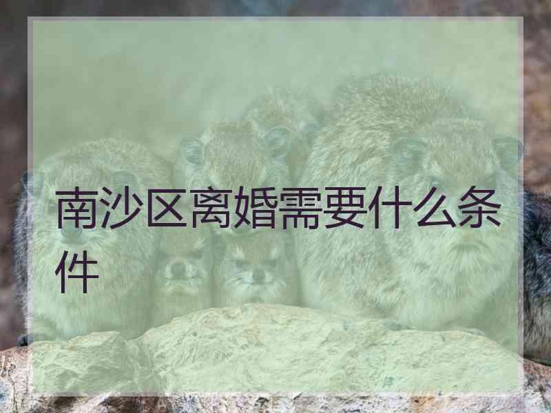 南沙区离婚需要什么条件