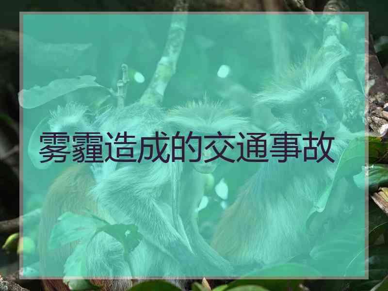 雾霾造成的交通事故