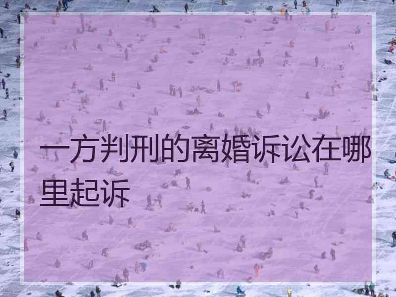 一方判刑的离婚诉讼在哪里起诉