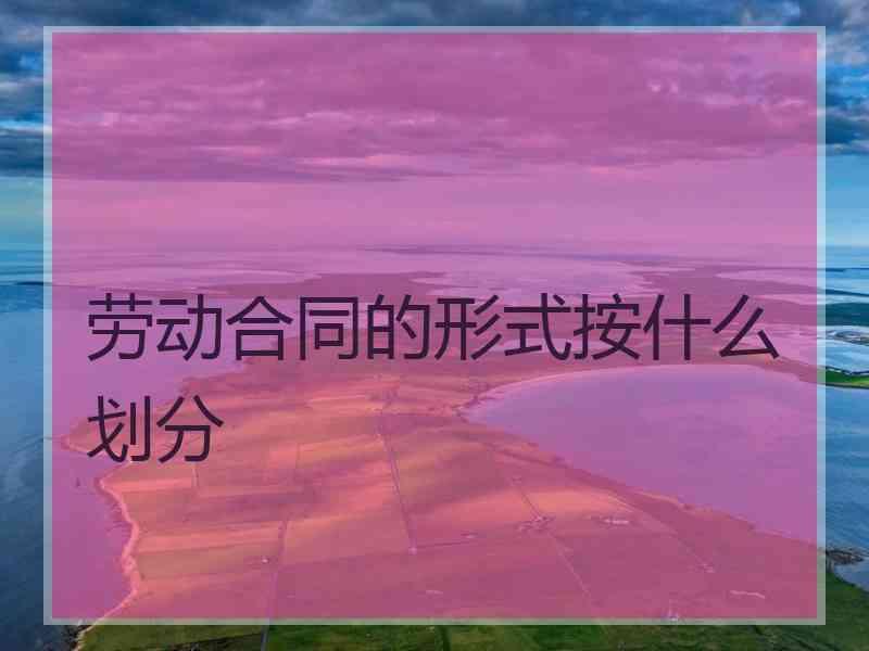 劳动合同的形式按什么划分