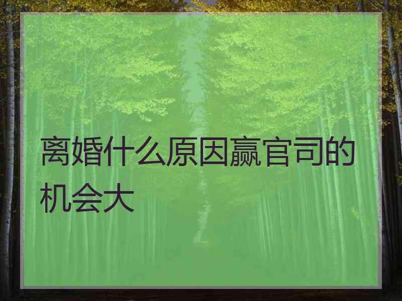 离婚什么原因赢官司的机会大