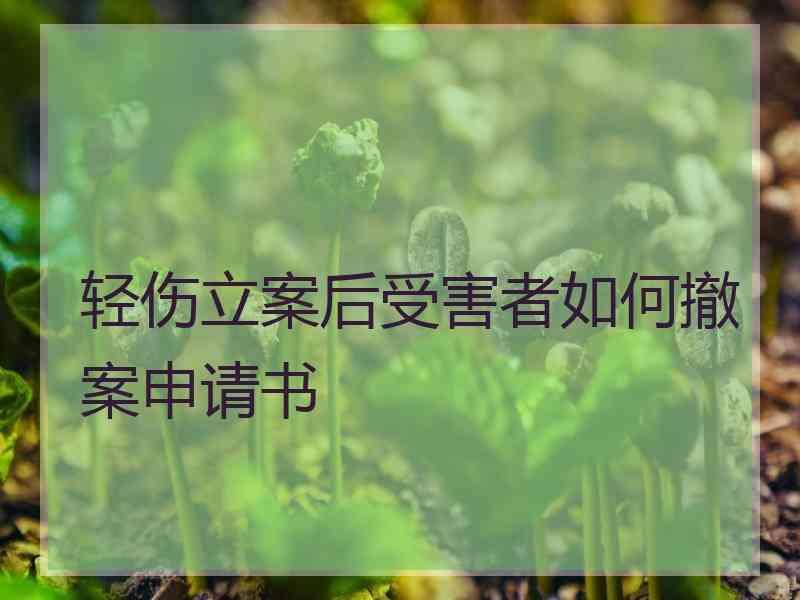轻伤立案后受害者如何撤案申请书