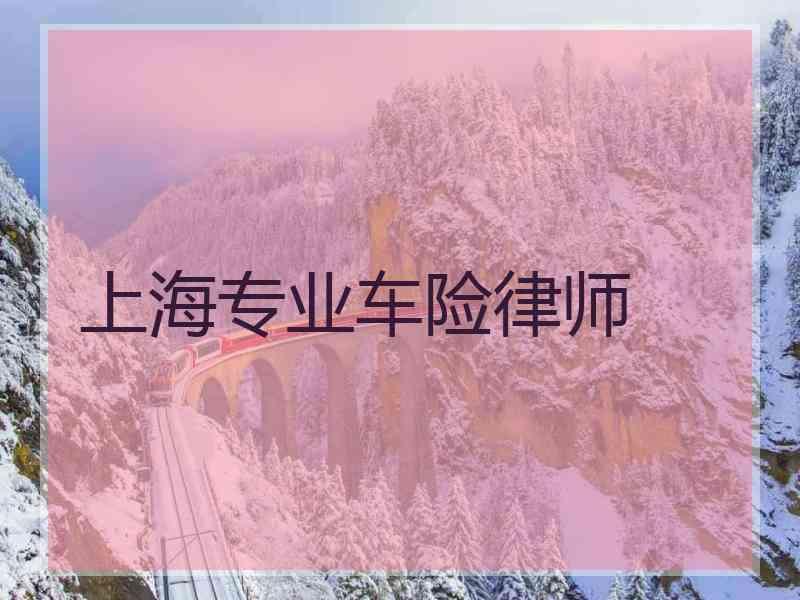 上海专业车险律师