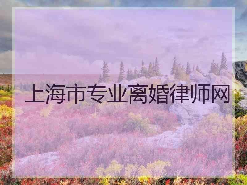 上海市专业离婚律师网