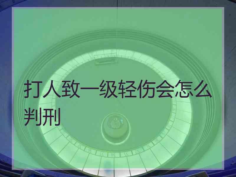 打人致一级轻伤会怎么判刑