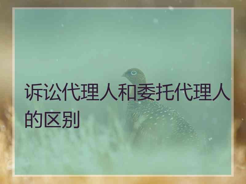 诉讼代理人和委托代理人的区别