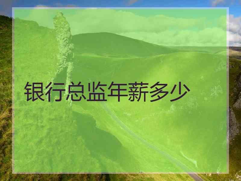 银行总监年薪多少