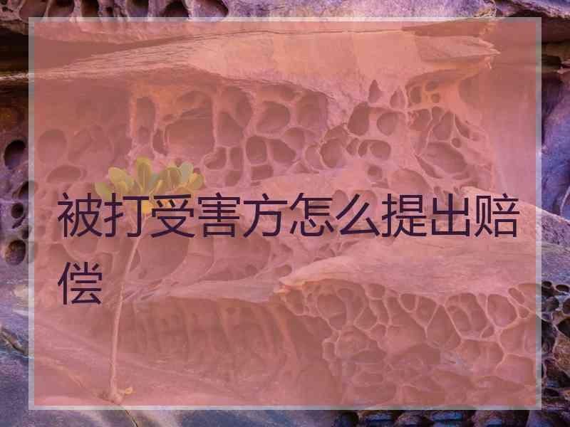 被打受害方怎么提出赔偿