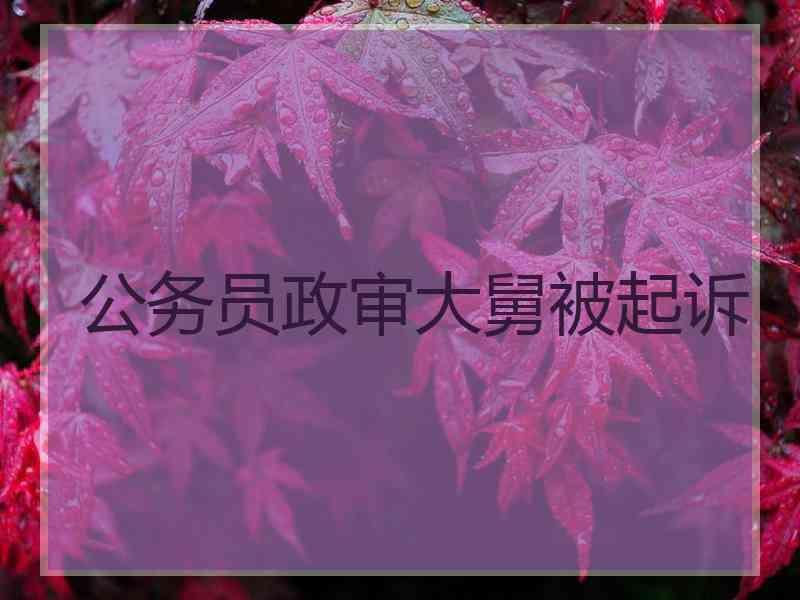 公务员政审大舅被起诉