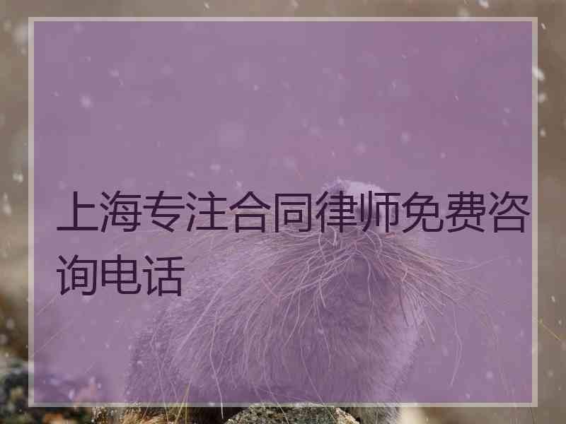 上海专注合同律师免费咨询电话