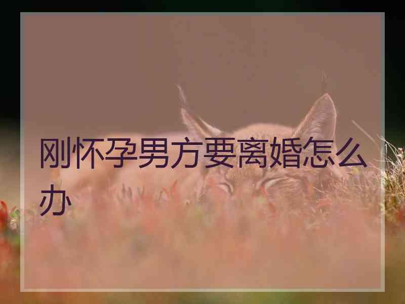 刚怀孕男方要离婚怎么办