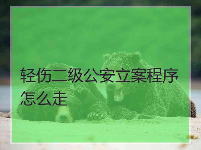 轻伤二级公安立案程序怎么走