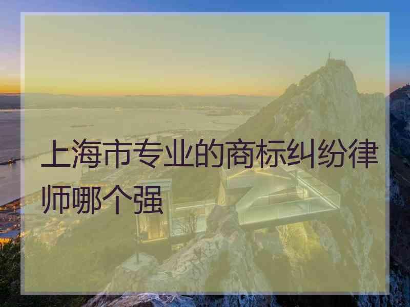 上海市专业的商标纠纷律师哪个强