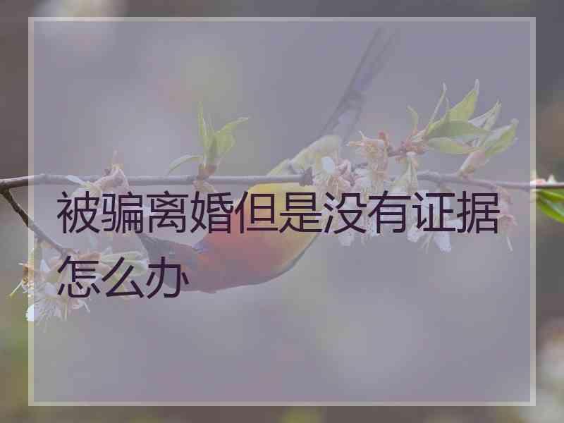 被骗离婚但是没有证据怎么办