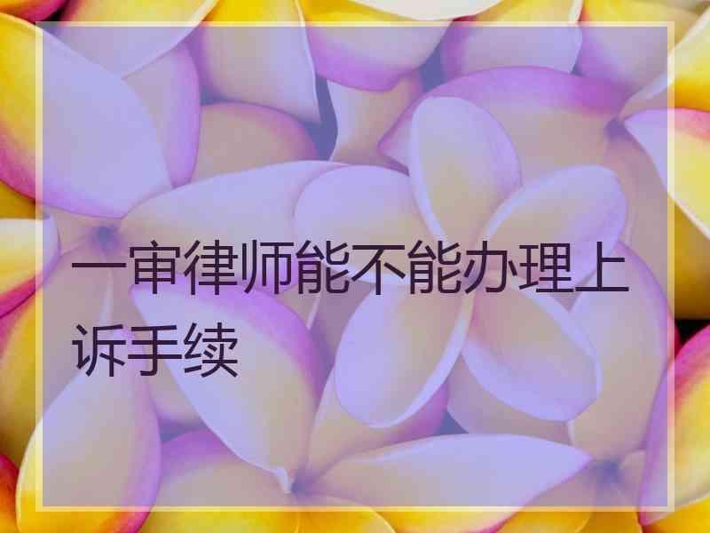 一审律师能不能办理上诉手续