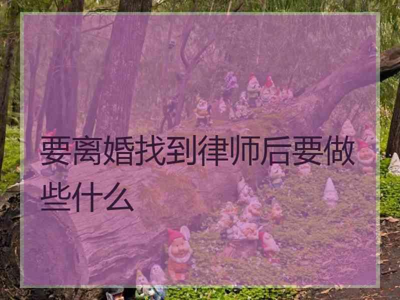 要离婚找到律师后要做些什么