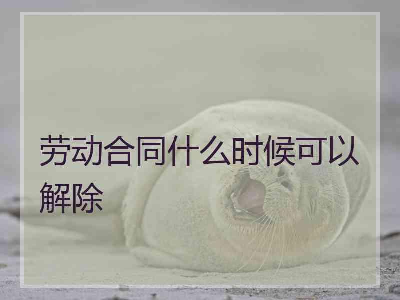 劳动合同什么时候可以解除