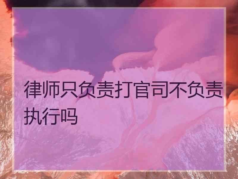 律师只负责打官司不负责执行吗