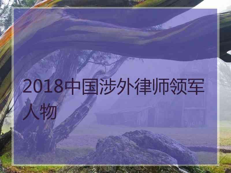 2018中国涉外律师领军人物