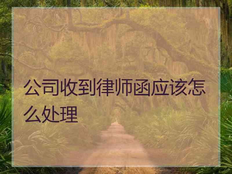 公司收到律师函应该怎么处理