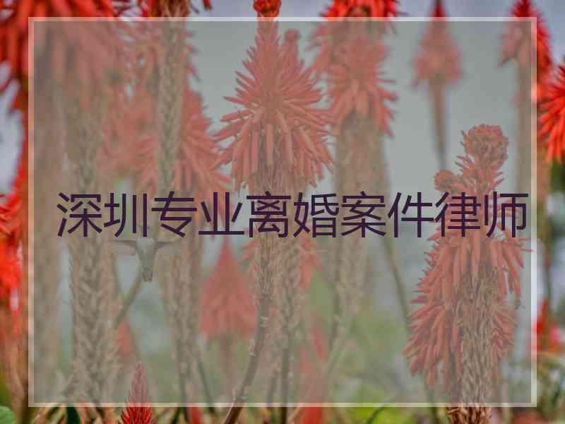 深圳专业离婚案件律师