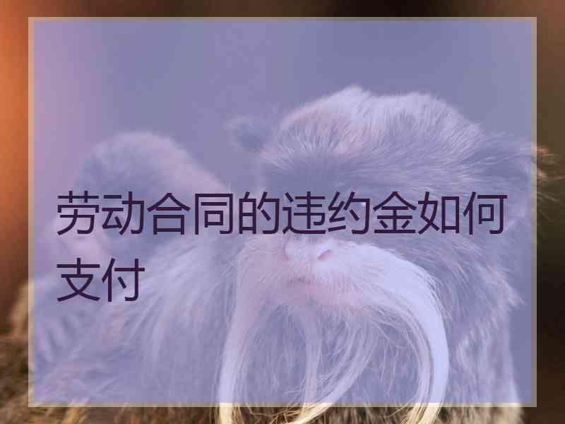 劳动合同的违约金如何支付