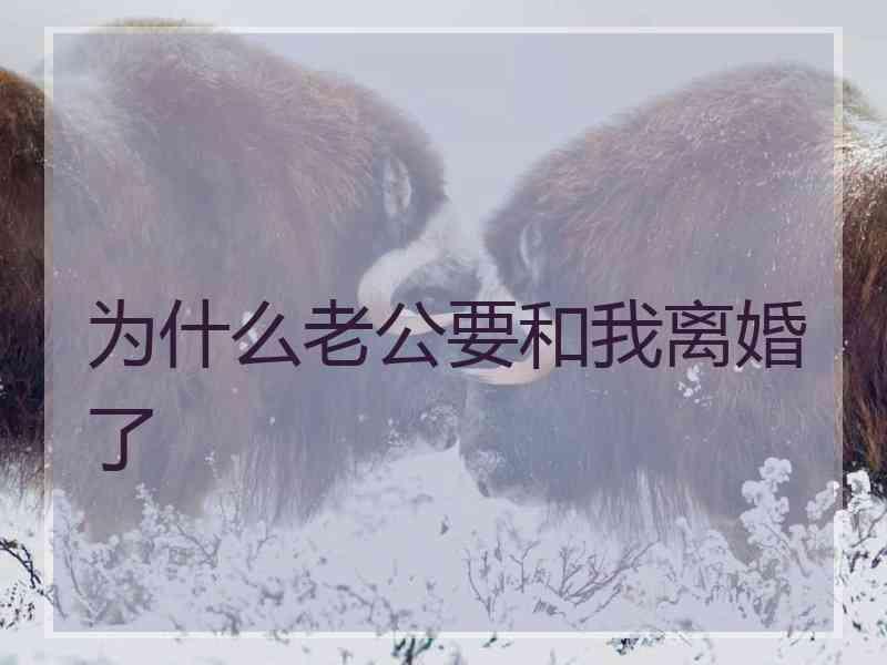 为什么老公要和我离婚了