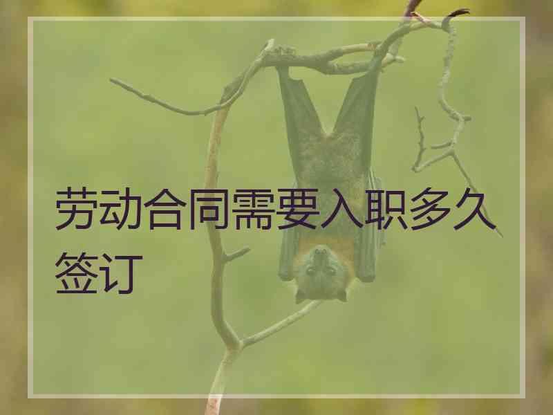 劳动合同需要入职多久签订