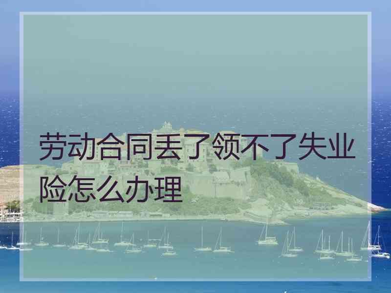 劳动合同丢了领不了失业险怎么办理