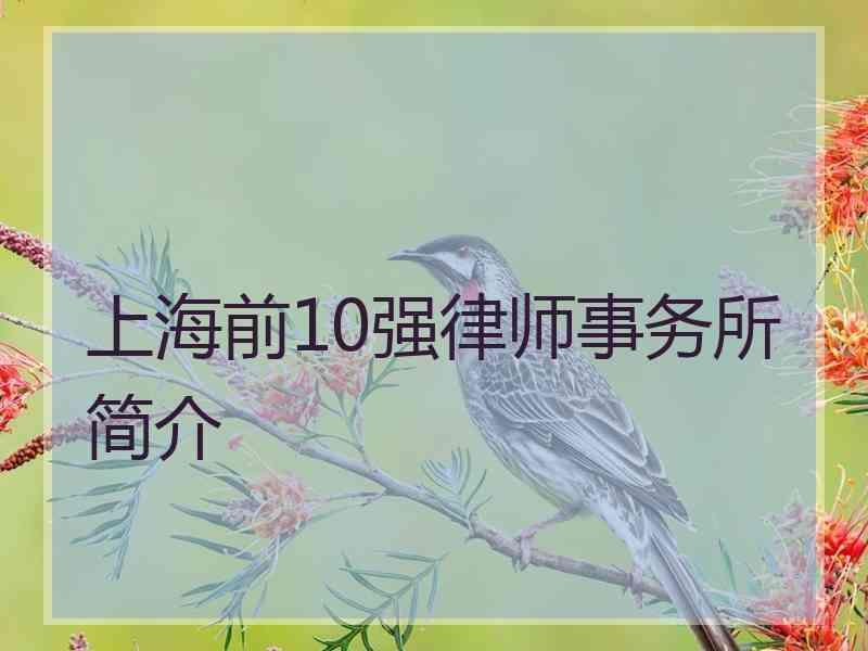 上海前10强律师事务所简介