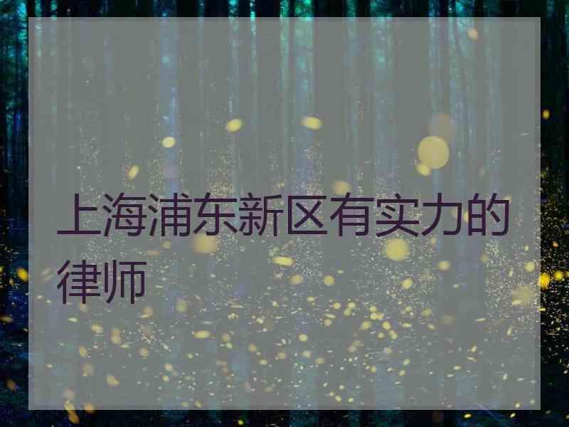 上海浦东新区有实力的律师