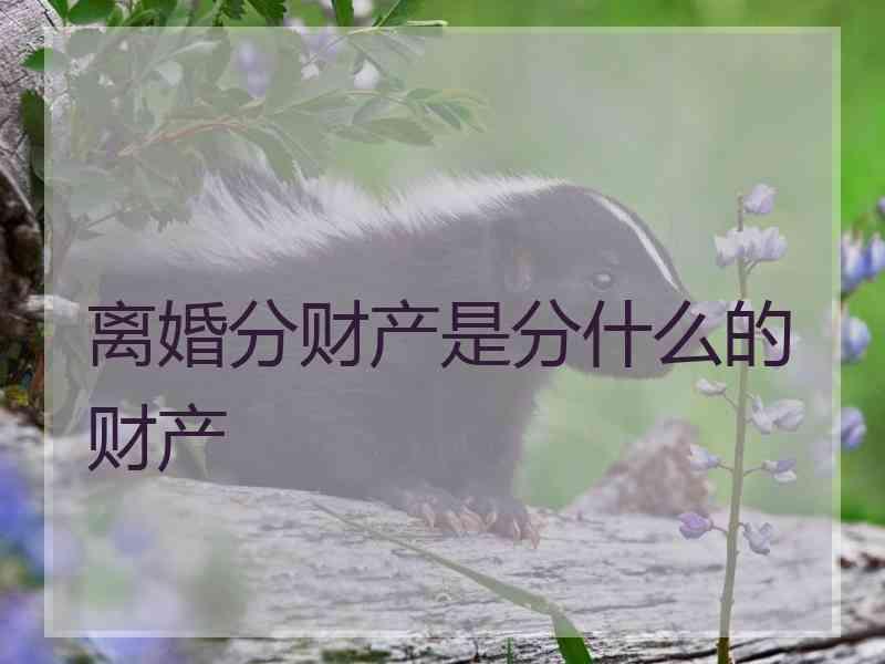 离婚分财产是分什么的财产