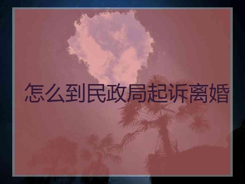 怎么到民政局起诉离婚