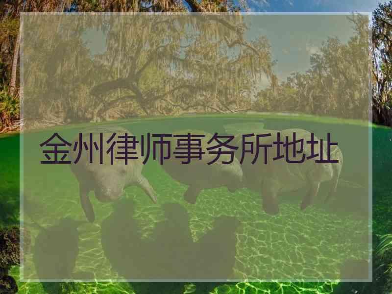 金州律师事务所地址