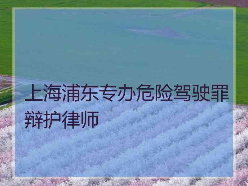 上海浦东专办危险驾驶罪辩护律师