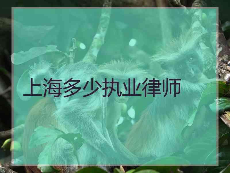 上海多少执业律师