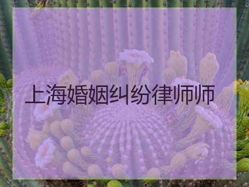 上海婚姻纠纷律师师