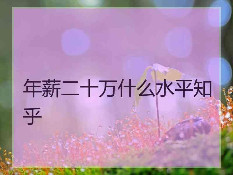 年薪二十万什么水平