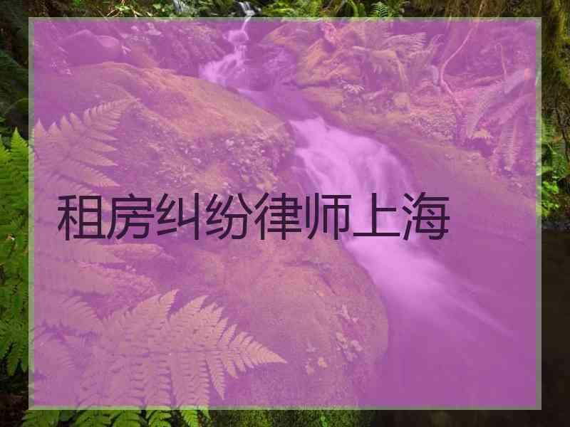 租房纠纷律师上海