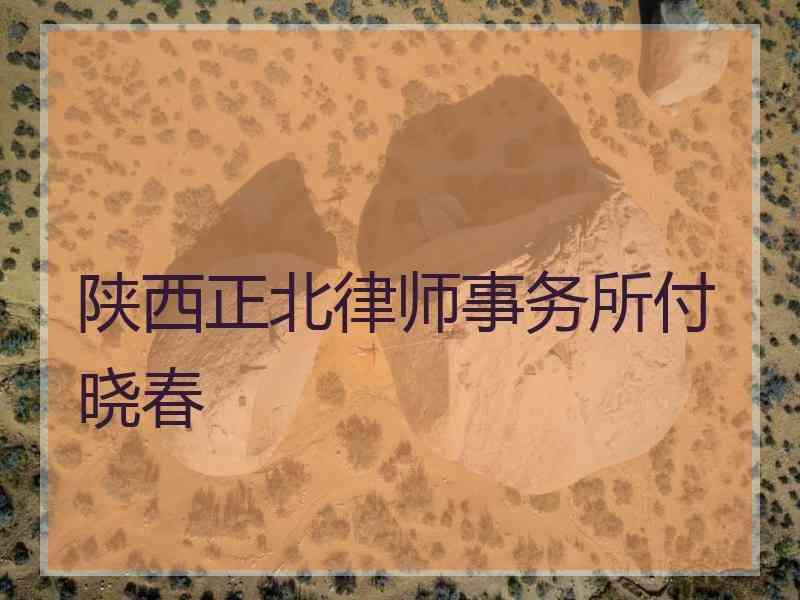 陕西正北律师事务所付晓春