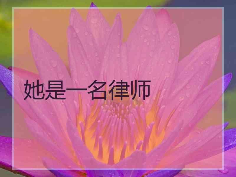 她是一名律师